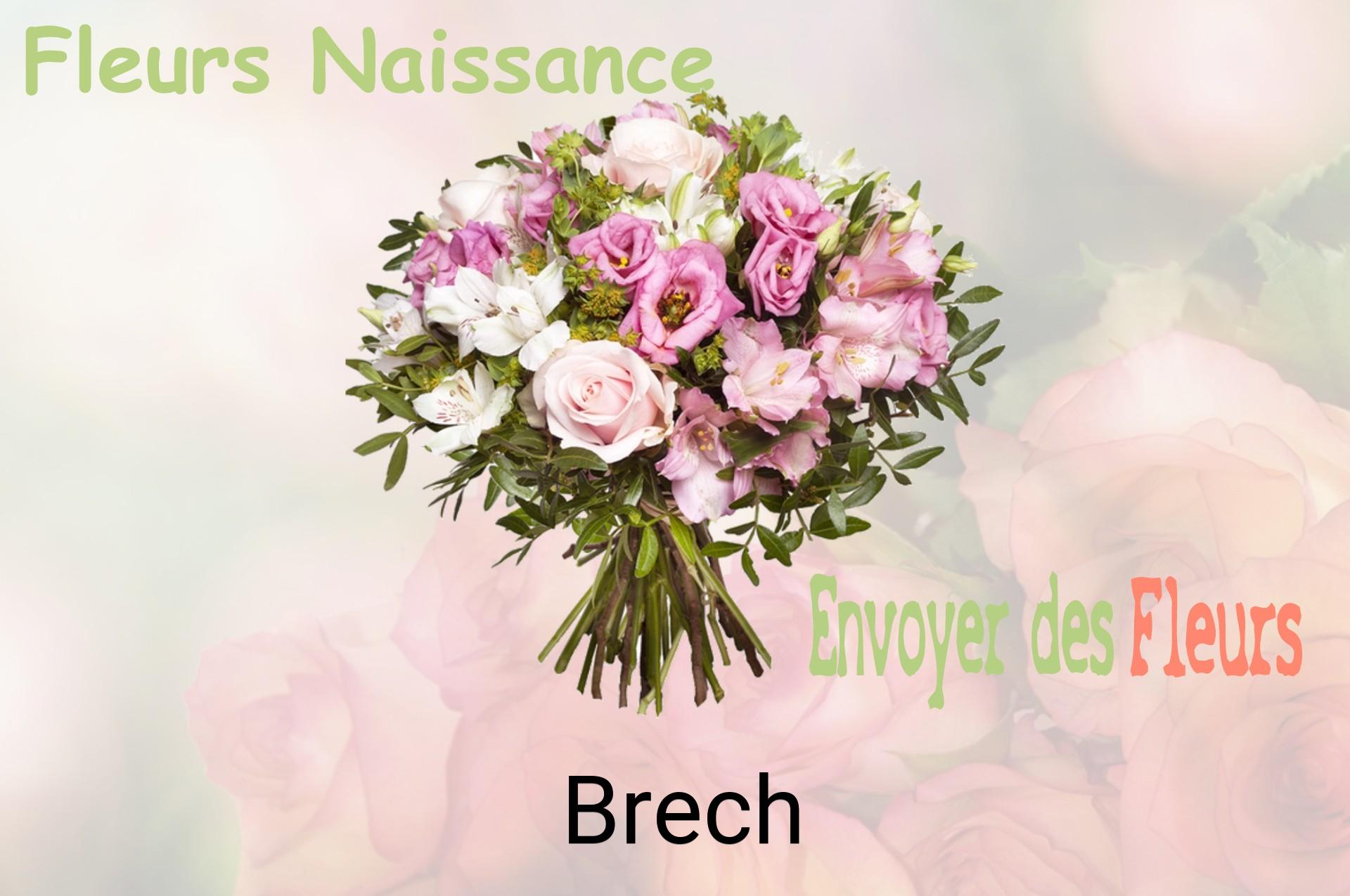 Bouquet de fleurs de naissance livré à Brech